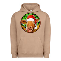 Pigment Burro christmas circle earrings Urban Hoodie - Jasminsmagicworld