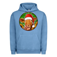 Pigment Pebble Blue christmas circle earrings Urban Hoodie - Jasminsmagicworld