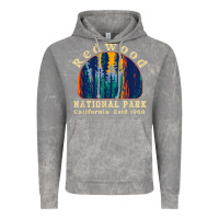 Cloud Rock redwood national park california retro vintage cam Vintage Hoodie - DesignPulse