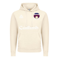 Vintage Artic galway gaillimh irish gaelic football and hurling premium Vintage Hoodie - DesignPulse