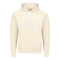 Vintage Artic stanford university logo Vintage Hoodie - DesignPulse