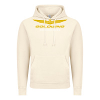 Vintage Artic goldwing Vintage Hoodie - PixelWave