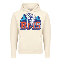 Vintage Artic blue mountain state Vintage Hoodie - PixelWave