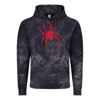 Cloud Black Richmond spiders Vintage Hoodie - PixelWave