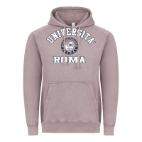 Vintage Zinc universita roma [tb] Vintage Hoodie - Craftify