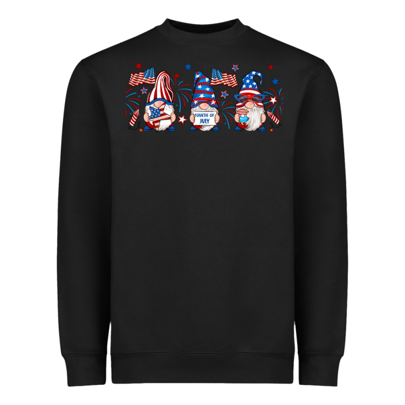 4th Of July Gnomes Libbey Glass Heavyweight Sweatshirt by RanaPortraitStore | Teevron