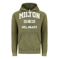 Milton Delaware De Vintage State Athletic Style T Shirt Vintage Hoodie | Teevron
