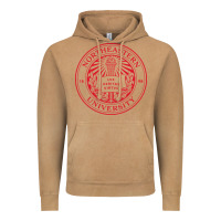 Vintage Camel Northeastern University Vintage Hoodie - ArtChic