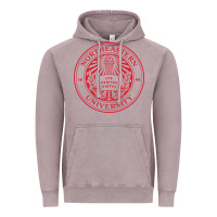 Vintage Zinc Northeastern University Vintage Hoodie - ArtChic