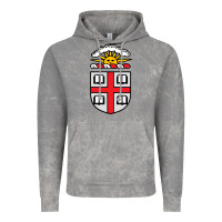 Cloud Rock brown university Vintage Hoodie - StudioElite