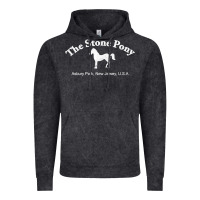 Vintage Black The Stone Pony Vintage Hoodie - StudioElite