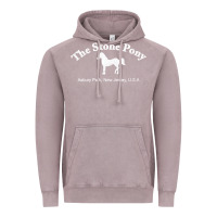 Vintage Zinc The Stone Pony Vintage Hoodie - StudioElite