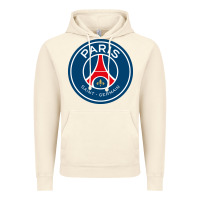 Vintage Artic the-paris-saint-germain-pen Vintage Hoodie - StudioElite
