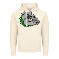 Vintage Artic ashville high school, ashville bulldogs Vintage Hoodie - PixelFlow