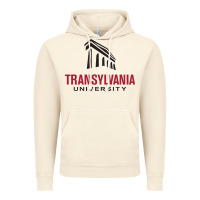 Vintage Artic transylvania university Vintage Hoodie - PixelFlow