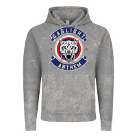 Cloud Rock the gaslight anthem Vintage Hoodie - PixelFlow