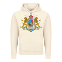 Vintage Artic Iran Coat of arms Flag souvenir Iranian Persian Vintage Hoodie - PixelFlow