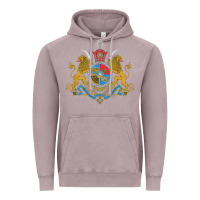 Iran Coat Of Arms Flag Souvenir Iranian Persian Vintage Hoodie | Teevron