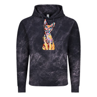 Cloud Black Colorful Cat Vintage Hoodie - PixelFlow