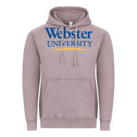 Vintage Zinc webster university Vintage Hoodie - SnappyArt