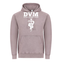 Vintage Zinc Doctor of Veterinary Medicine DVM Veterinarian Vet Tech Vintage Hoodie - FloraArt