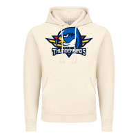 Vintage Artic springfield thunderbirds Vintage Hoodie - ArtMosaic