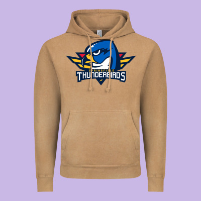 Springfield Thunderbirds Vintage Hoodie Designed By Artmosaic