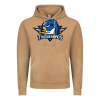 Springfield Thunderbirds Vintage Hoodie | Teevron