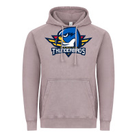 Vintage Zinc springfield thunderbirds Vintage Hoodie - ArtMosaic