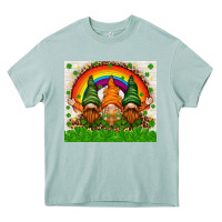 Arona St. Patrick's Day gnomies tumbler Heavy Core Tee - HowdyJamesFarm