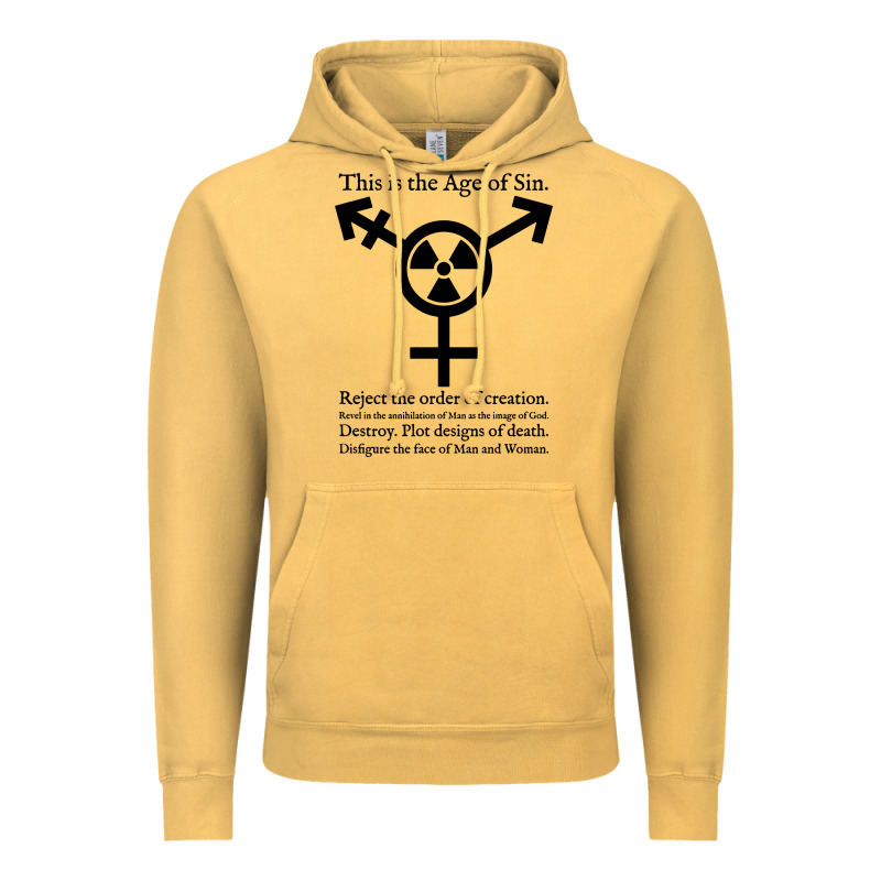 This Is The Age Of Sin   Transgender Symbol Vintage Hoodie by artisFamous | Teevron