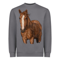 Storm brown horse Heavyweight Sweatshirt - RanaPortraitStore