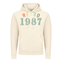 Vintage Artic Retro 1987 Vintage Hoodie - artisFamous