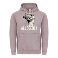 Vintage Zinc letterkenny allegedly ostrich funny Vintage Hoodie - artisFamous