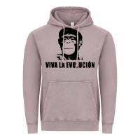 Vintage Zinc viva la evolucion Vintage Hoodie - artisFamous