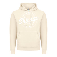 Vintage Artic chicago Vintage Hoodie - artisFamous