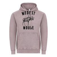 Vintage Zinc modest mouse Vintage Hoodie - artisFamous