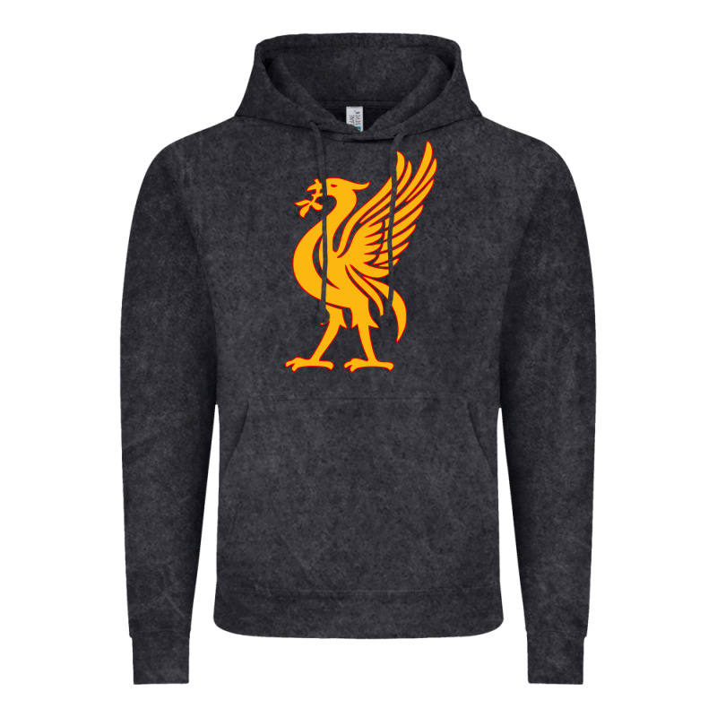 Liverpool Bird License Plate Vintage Hoodie by artisFamous | Teevron