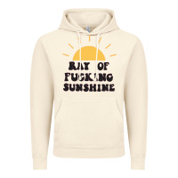 Vintage Artic ray of sunshine Vintage Hoodie - artisFamous