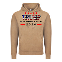 Donald Trump 2024 Take America Back Election Vintage Hoodie | Teevron