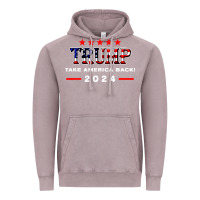 Vintage Zinc donald trump 2024 take america back election Vintage Hoodie - artisFamous