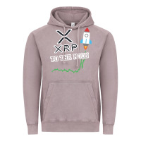 Vintage Zinc xrp to the moon Vintage Hoodie - artisFamous