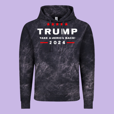 Donald Trump 2024 Take America Vintage Hoodie Designed By Artisfamous