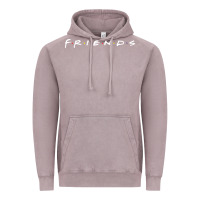 Vintage Zinc Friends Vintage Hoodie - artisFamous