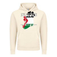 Vintage Artic irish palestinian solidarity Vintage Hoodie - artisFamous