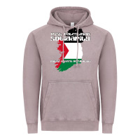 Vintage Zinc irish palestinian solidarity Vintage Hoodie - artisFamous