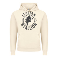 Vintage Artic Italian Stallion Vintage Hoodie - artisFamous