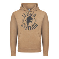 Vintage Coffee Italian Stallion Vintage Hoodie - artisFamous