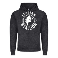 Vintage Black Italian Stallion Vintage Hoodie - artisFamous