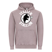 Vintage Zinc italian stallion Vintage Hoodie - artisFamous